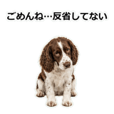 856136679