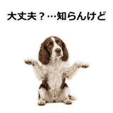 856136680