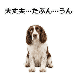 856136681