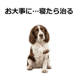 856136682