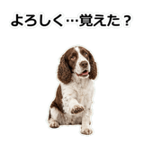 856136684