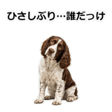856136685
