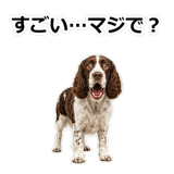 856136686