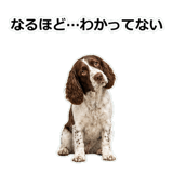 856136688