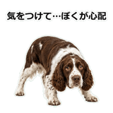 856136691