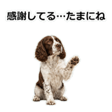 856136693