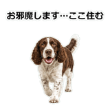 856136695