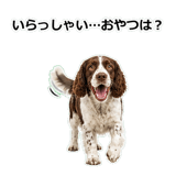 856136696