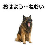 856136705