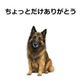 856136707
