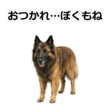 856136708