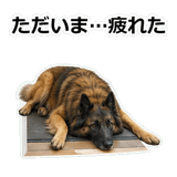856136710