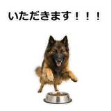 856136712