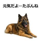 856136715