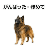 856136717