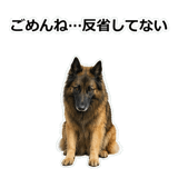 856136719