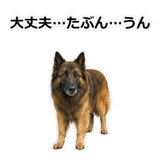 856136721
