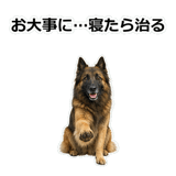 856136722
