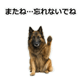 856136723