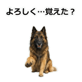 856136724