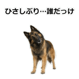 856136725