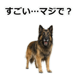 856136726