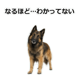 856136728