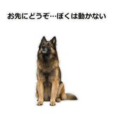 856136734