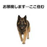 856136735