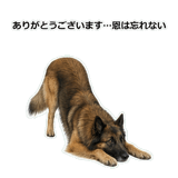 856136739