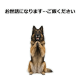 856136742