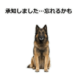 856136743