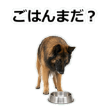 856136745