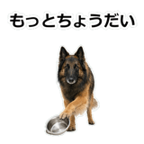 856136749