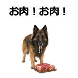 856136750