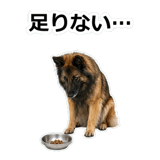 856136752