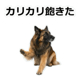 856136759