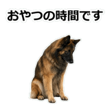 856136760