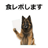856136763