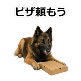 856136770