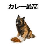 856136771