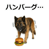 856136772