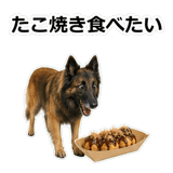 856136774