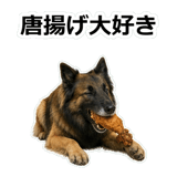 856136775