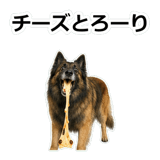 856136778