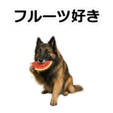 856136780