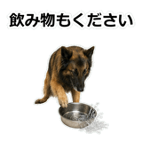 856136782