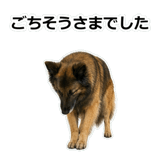 856136783