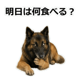 856136784