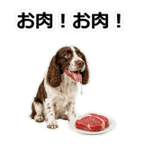 856136790
